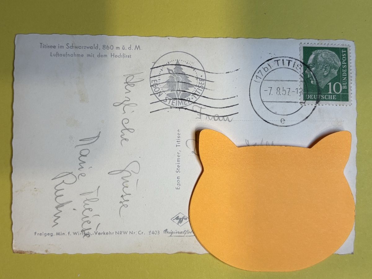 Cartoline postali: AK von Titisee – Usato da Rümlang venduto da Kartenpost1 1