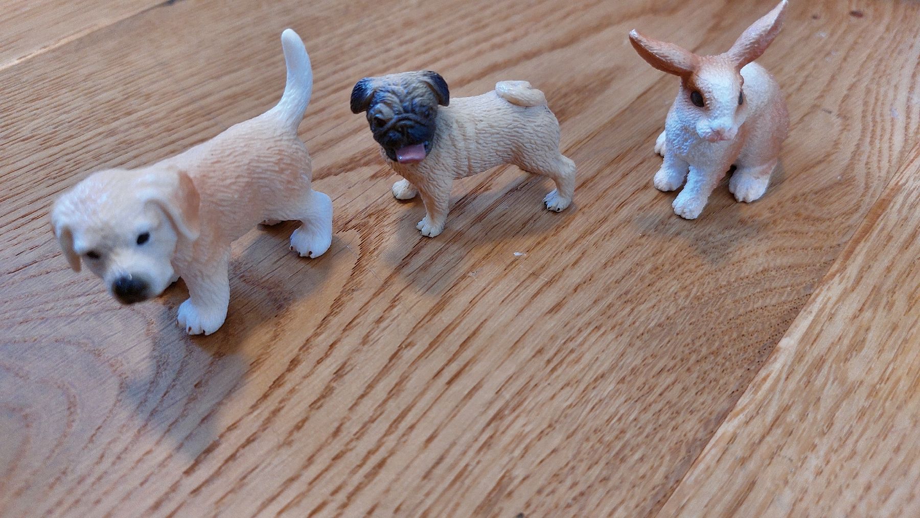 Schleich Jouets: Schleich Tierfiguren – Neuf (Voir description) à Wil SG par Kaktusse 1