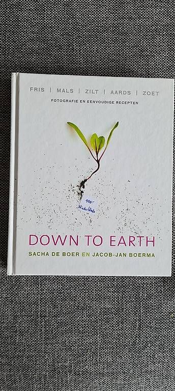 Libri: Kochbuch - Down to Earth / Boer & Boerma – Usato da Zumikon venduto da Rosa26