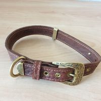Robustes Leder Hundehalsband Gesamtlänge 59cm/2,5cm Neu