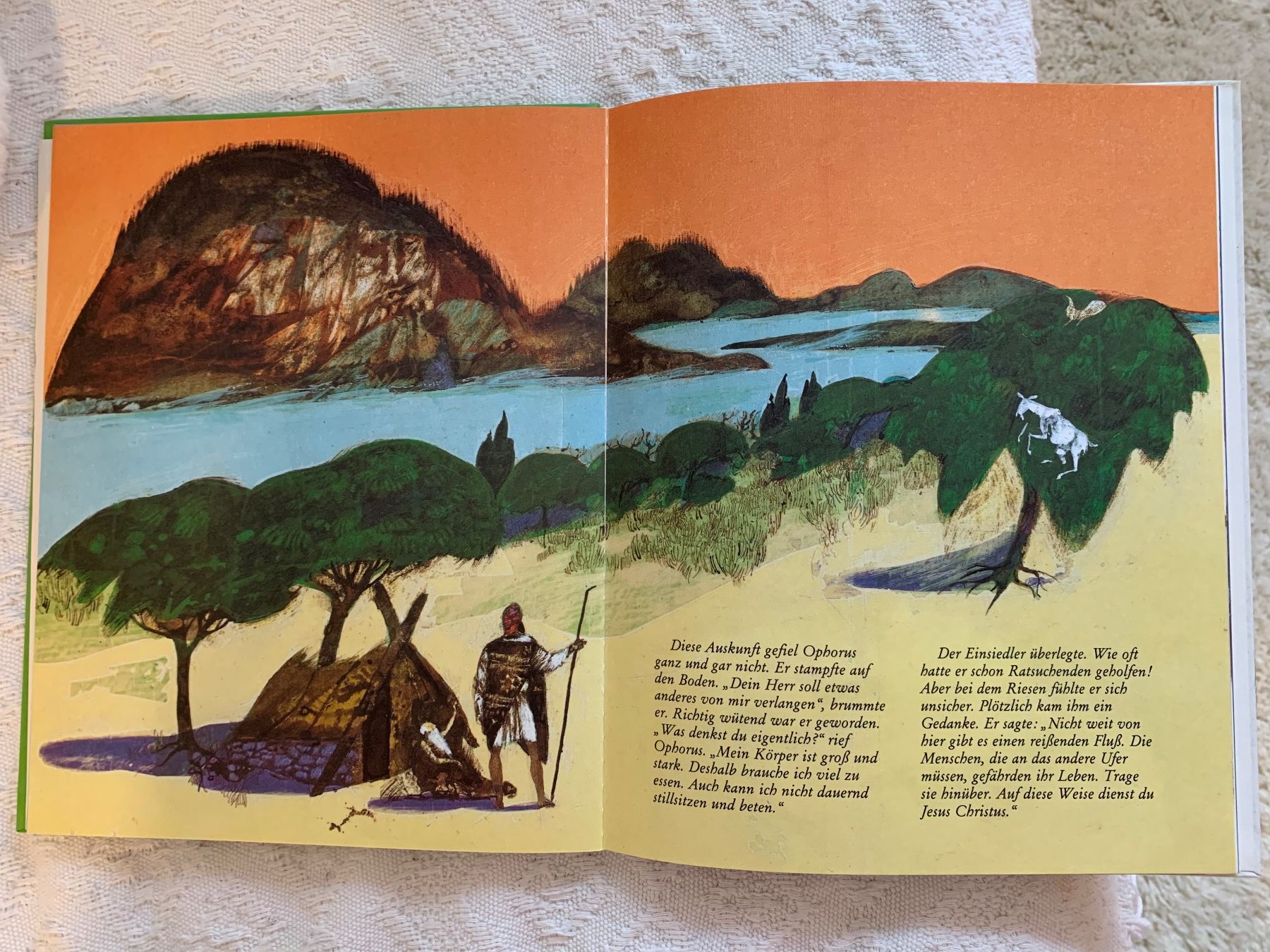 Libri: 2 Kinderbücher - Wunderschön Illustriert – Usato da Biel/Bienne venduto da senoi 6