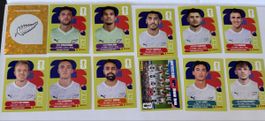 Panini WM 2026 -Neuseeland Set 12 Stk inkl Wappen & Teambild