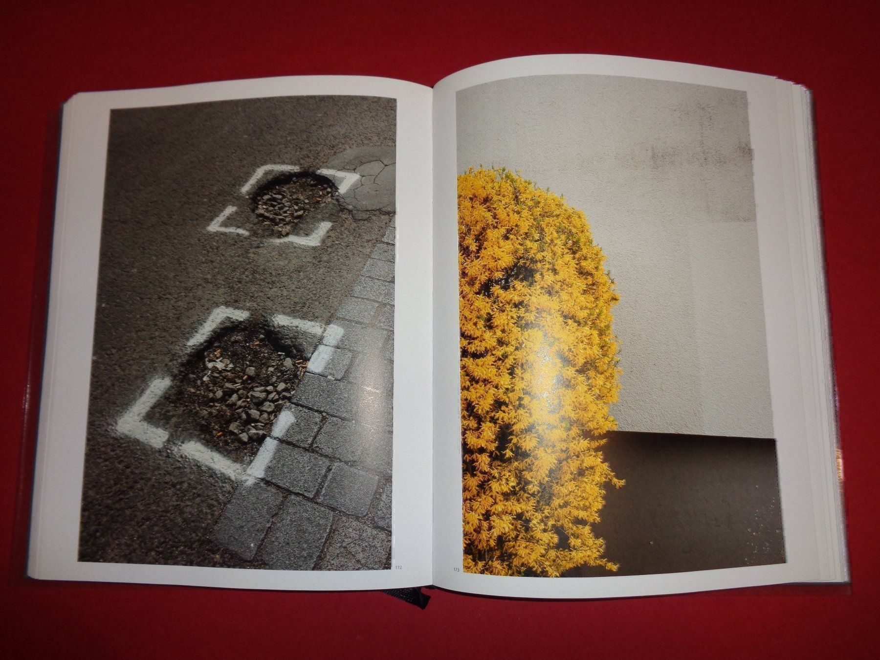 Libri: DRESDEN Suite Kai Olaf Hesse Architektur – Usato da Welschenrohr venduto da Regool 3