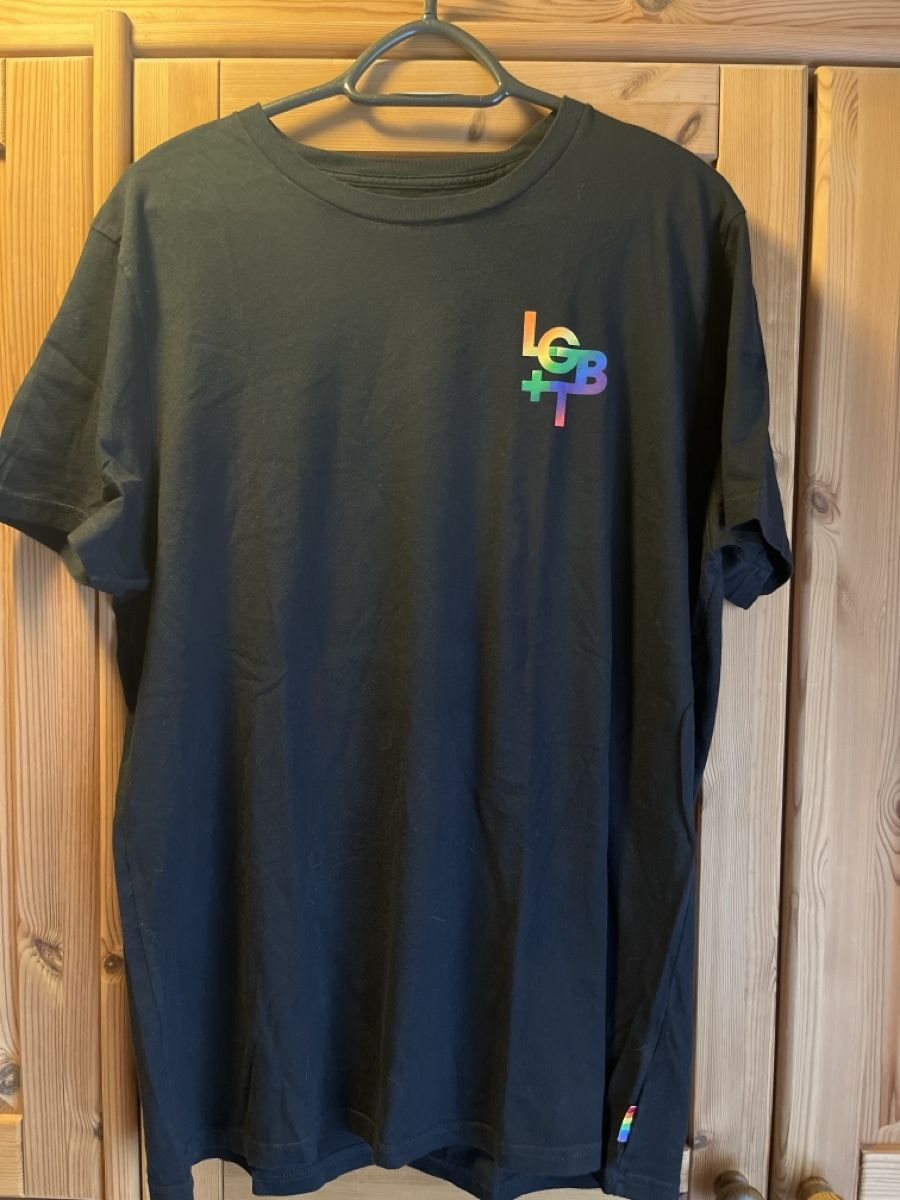 Hollister T-shirt: Hollister Pride T-Shirt – Usato da Einsiedeln venduto da sandramon