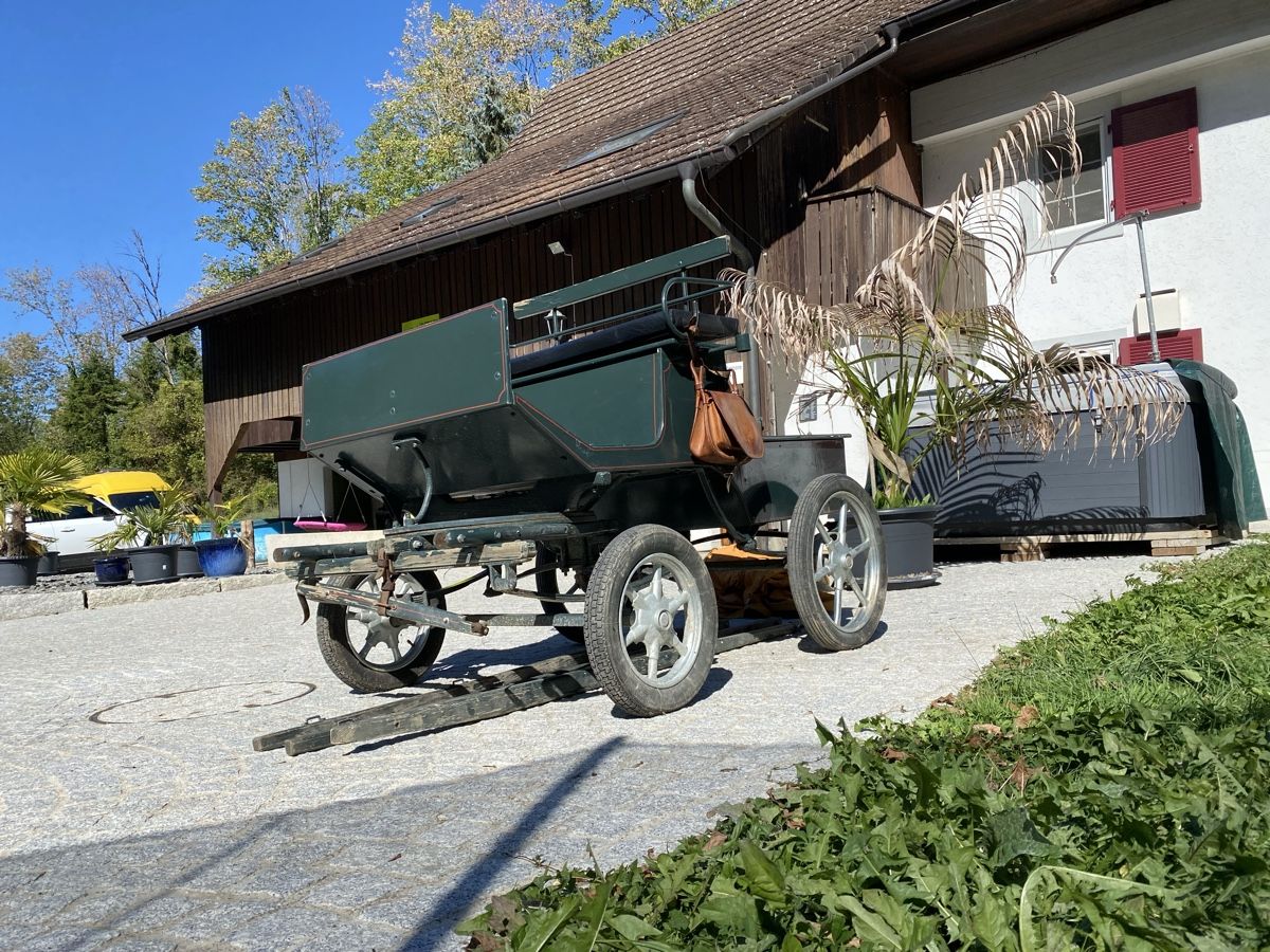 Carrozze: Pferde / Pony Kutsche Schnäppchen Scheunenfund mit Bremse !! – Usato da Tecknau venduto da Garage_St.Buser 1