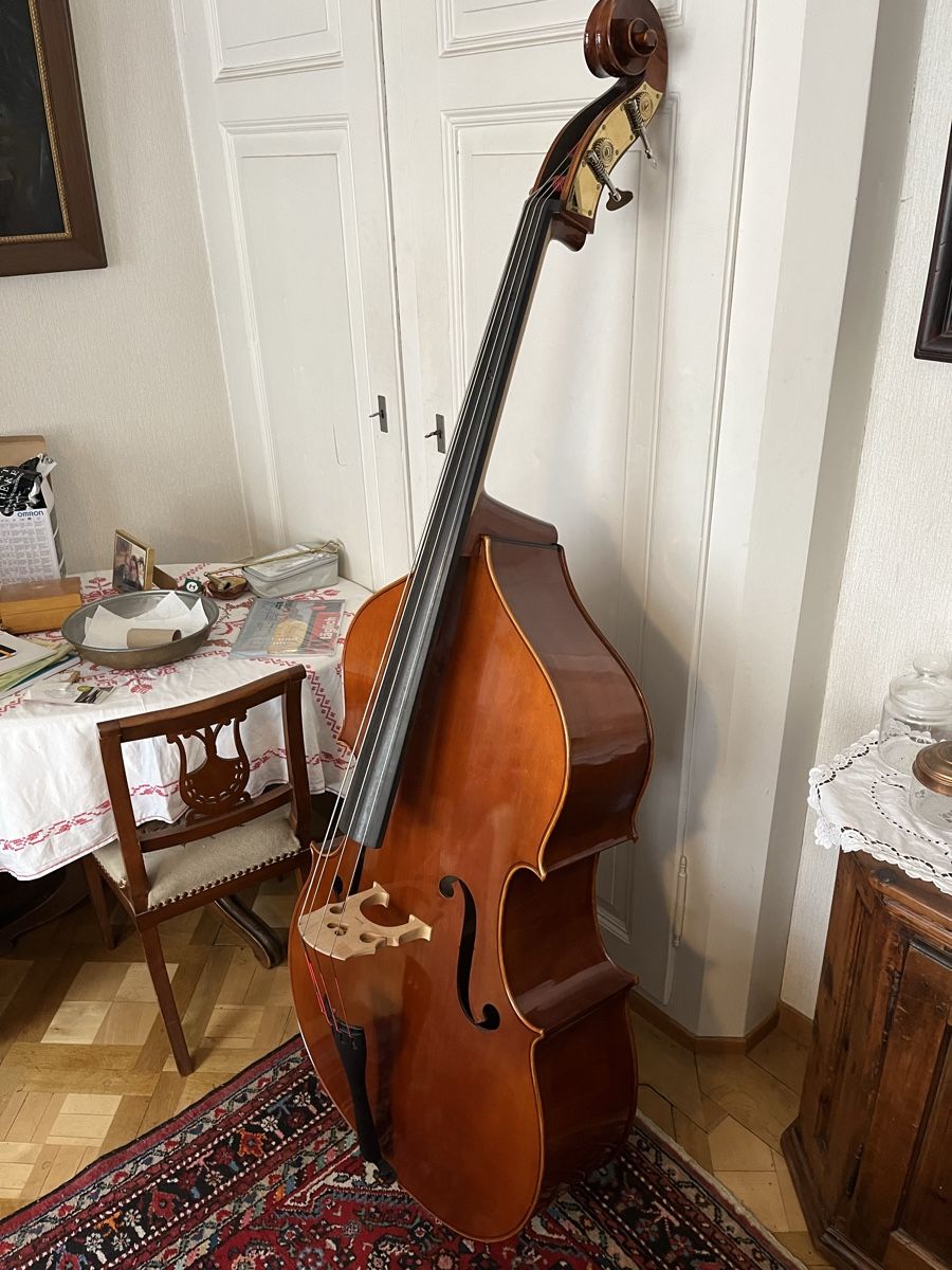 Musikinstrumente: Contrabass – Gebraucht aus Zürich von gef_98sd