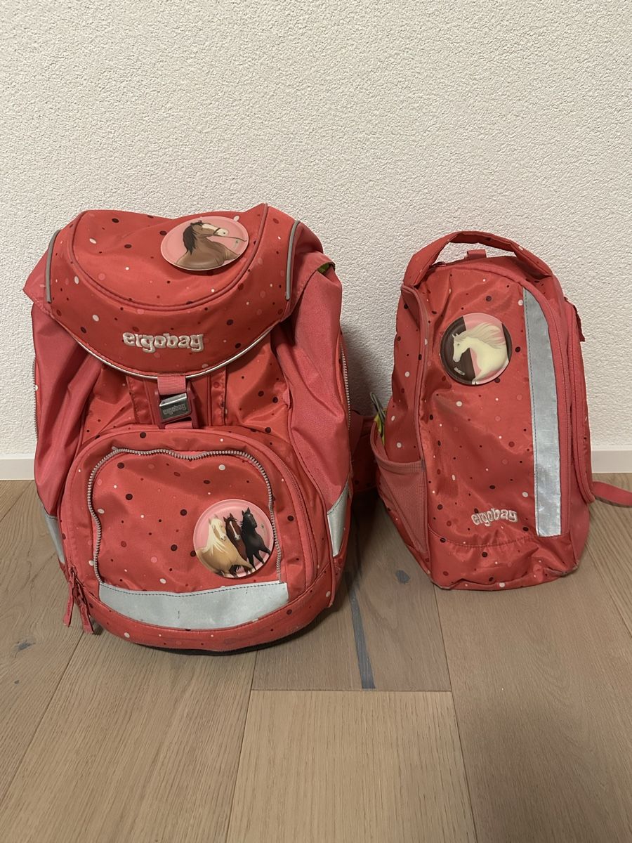 Ergobag Borse & Zaini: Sac d’école Ergobag – Usato da Courrendlin venduto da cel_rm6v
