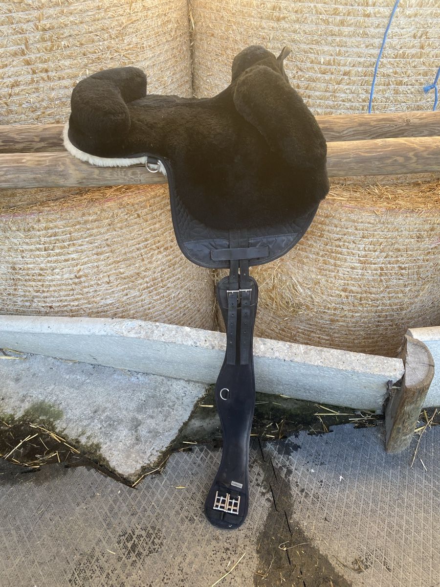 Selle & Accessori: Lammfell Sattel – Usato da Arth venduto da michelle_faessler