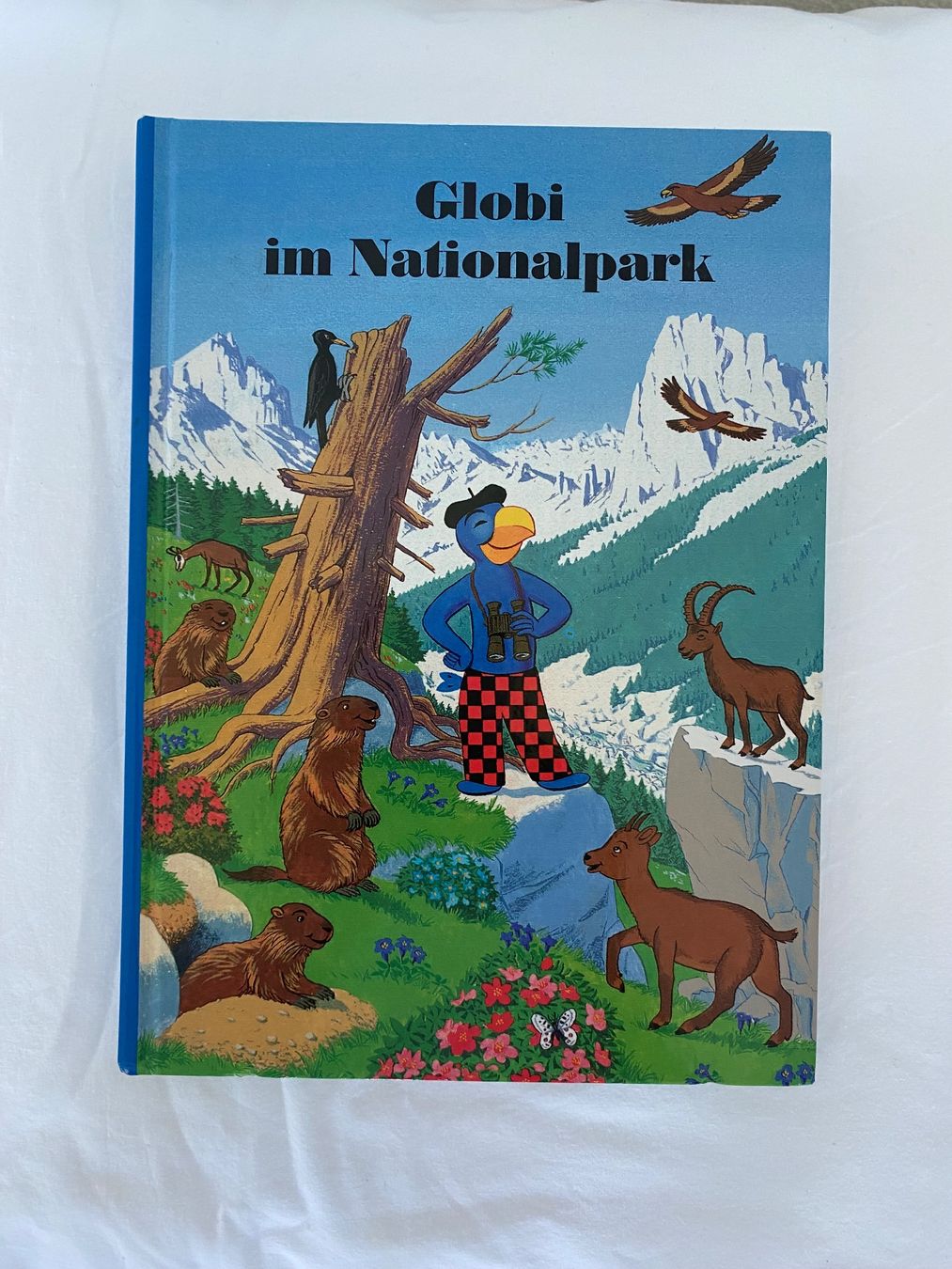 Bücher: GLOBI IM NATIONALPARK UNBEMALT – Gebraucht aus Zürich von Fashionparade