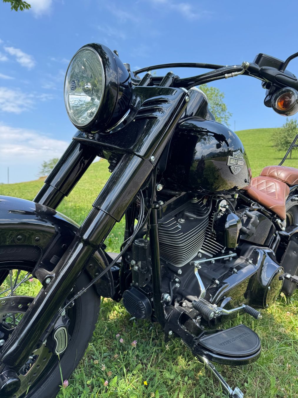 Harley-Davidson Chopper: Harley Softail Slim S110 FLSS – Usato da Buonas venduto da Mikesteal 4