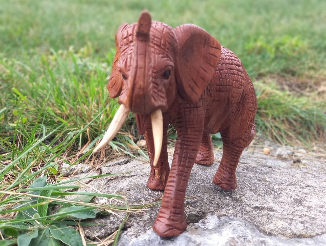 Figuren: Kleiner Elefant aus Holz. – Neu und originalverpackt aus Domat-ems von Gr8wood 3
