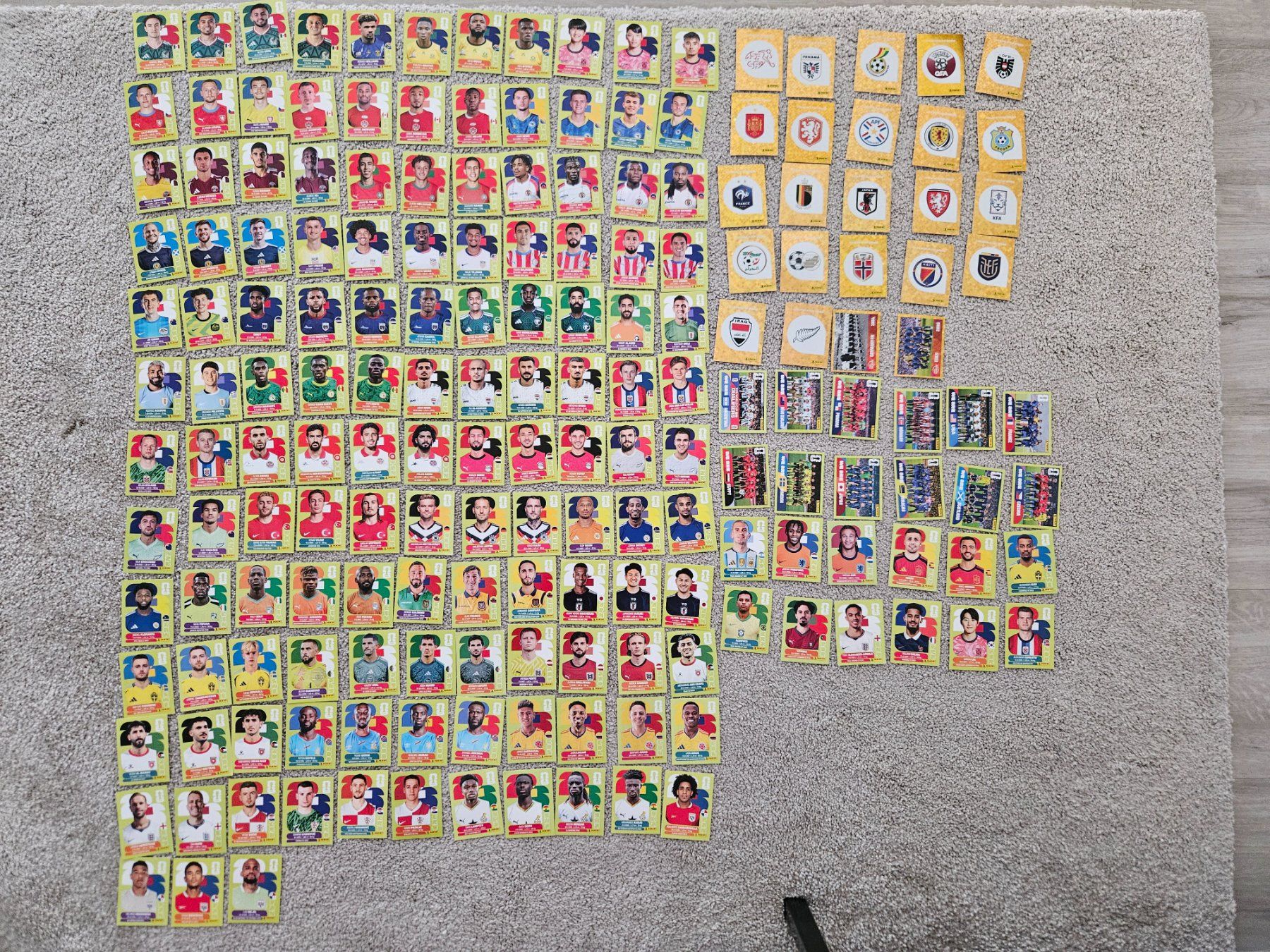 Panini Album: 183 verschiedene Panini-Bilder 2026 – Usato da Hinwil venduto da 97