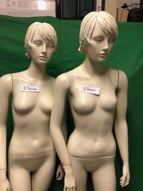 Altro in Decorazioni & Accessori: Schaufensterpuppe Dame ( weiss ) – Usato da Ehrendingen venduto da Silberpudel 1