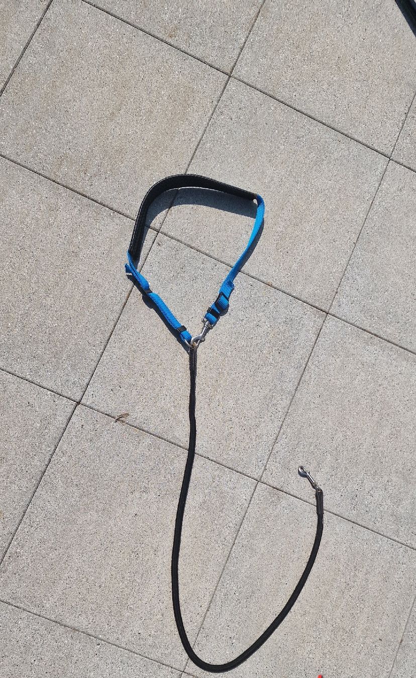 Attrezzatura da arrampicata: Jogginggurt – Usato da Dagmersellen venduto da Maligirl