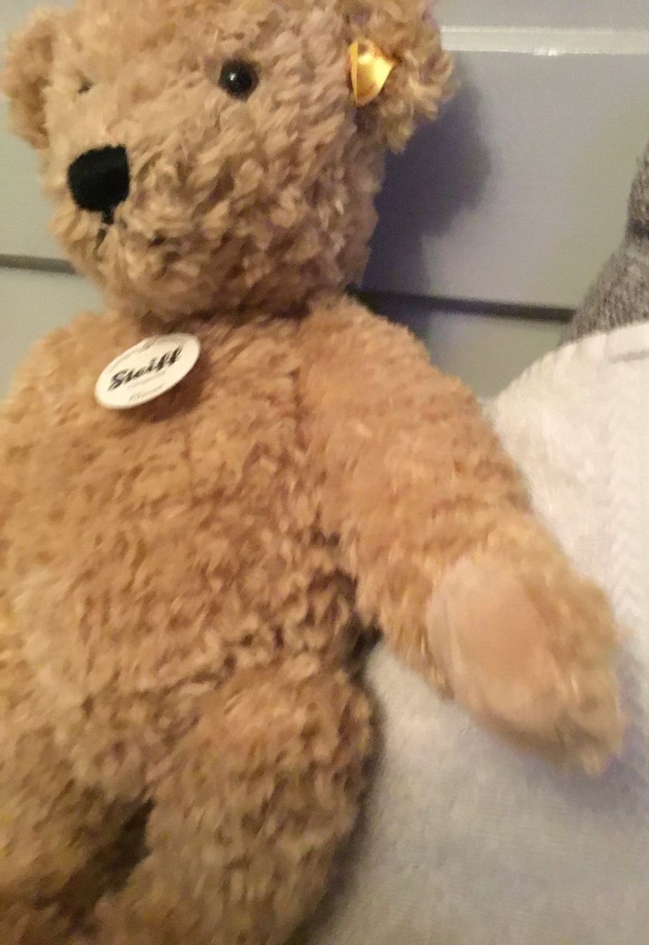 Steiff Giocattoli: Steiff Teddy Elmar NEU – Nuovo (secondo la descrizione) da Wettswil venduto da ann_hd9g 2