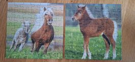 Ravensburger Puzzle 3x49 Teile, Pony Pferde Spass für Kinder