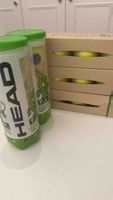 Head Tennisbälle T.I.P. Green neu für Kinder