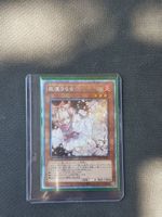 Yugioh Prismatic Secret Aschenblüte Jp