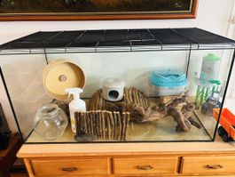Terrarium Nagarium 100 x 50 x 50 Hamster Zubehör Laufrad