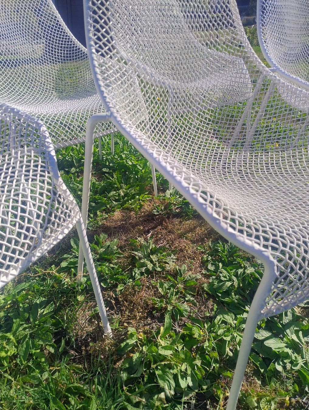 Emu Chaises: Set de 5 chaises EMU Heaven, chaises design – D'occasion à Martigny par jul_7s5x 5