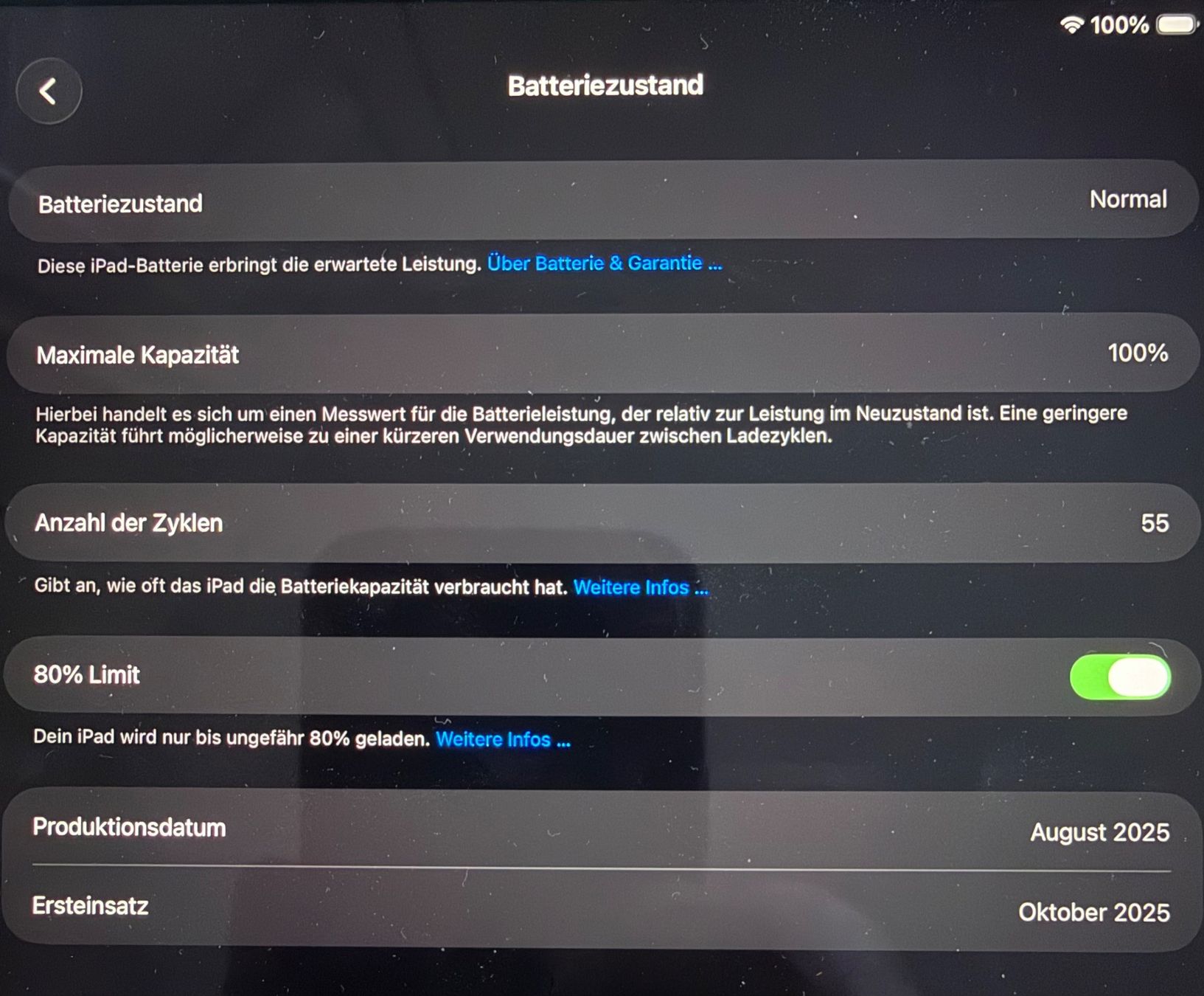 Apple Tablet PC: iPad mini 7 (A17 pro), Wifi+Cellular, Garantie – Usato da Zürich venduto da beatzueri 8
