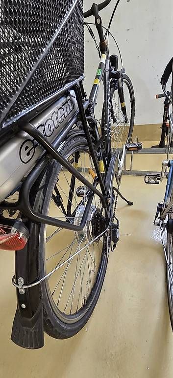 Biciclette: E-Totem E-Bike (25 kmh) – Usato da Thun venduto da LittleGuruu 2