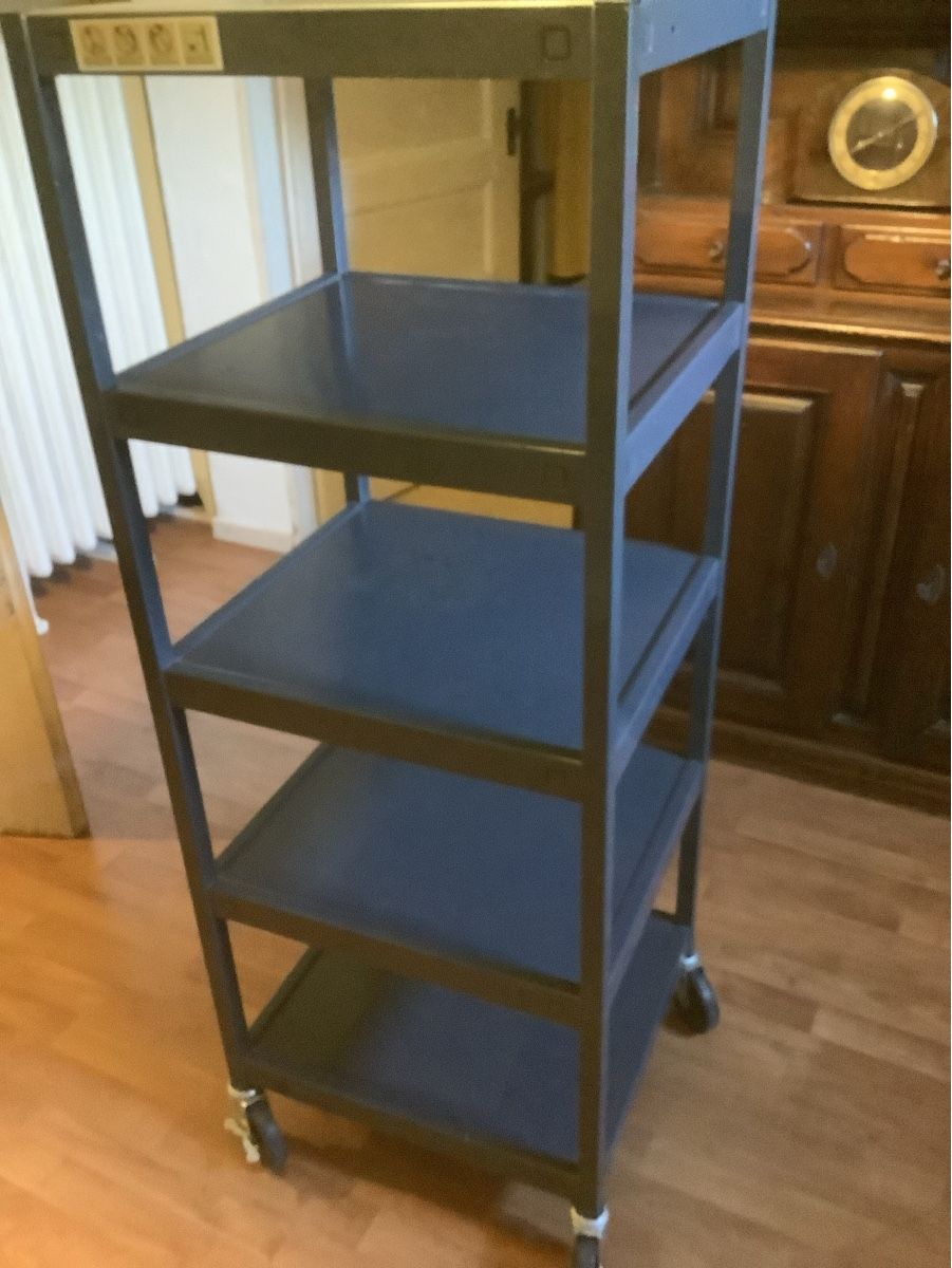 Scaffali: Regal mit Rollen – Usato da Ennetbaden venduto da Valli4