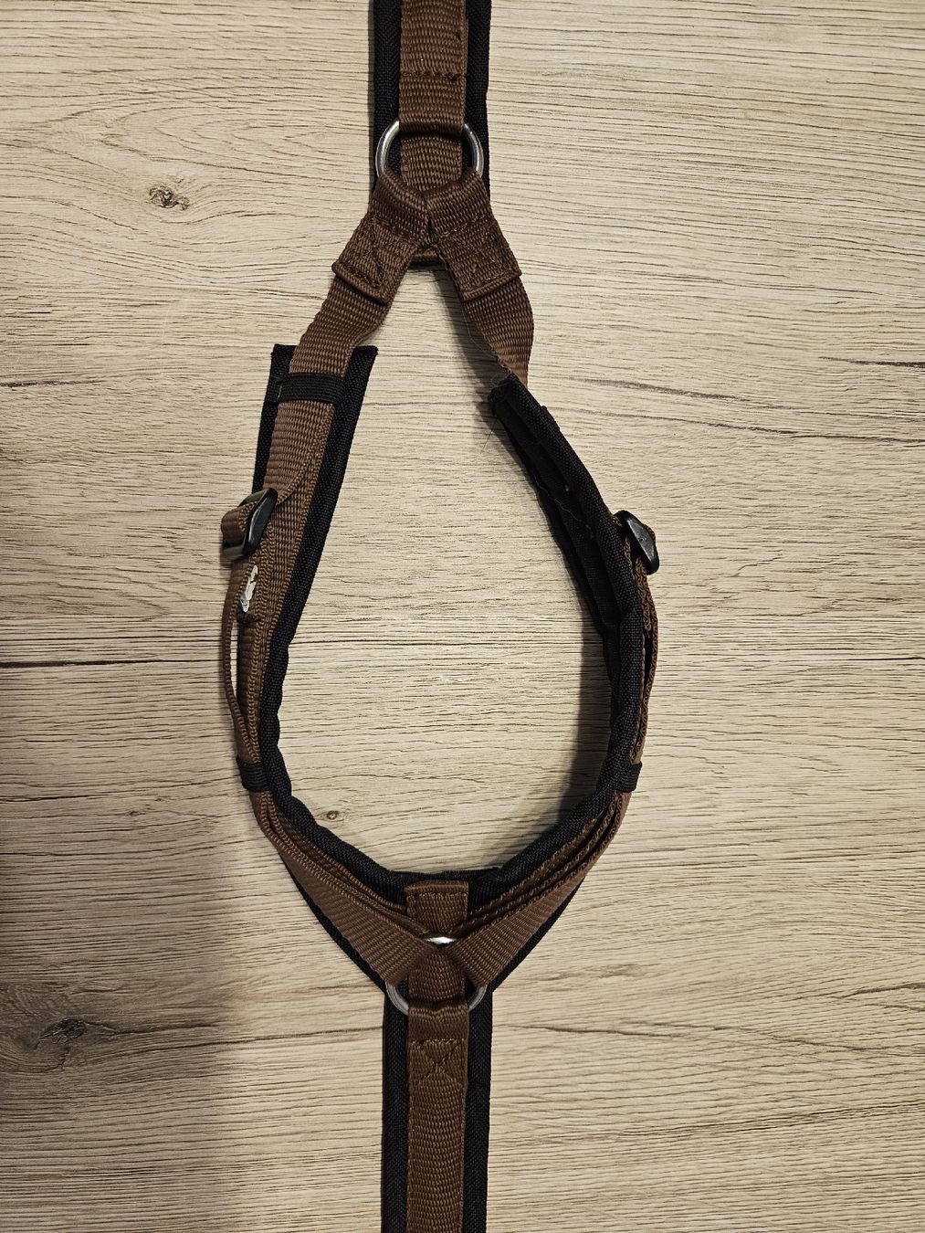 Anny X Guinzagli & Collari: Anny X Safety schwarz-braun S  – Nuovo (secondo la descrizione) da Bronschhofen venduto da Savi_48 5