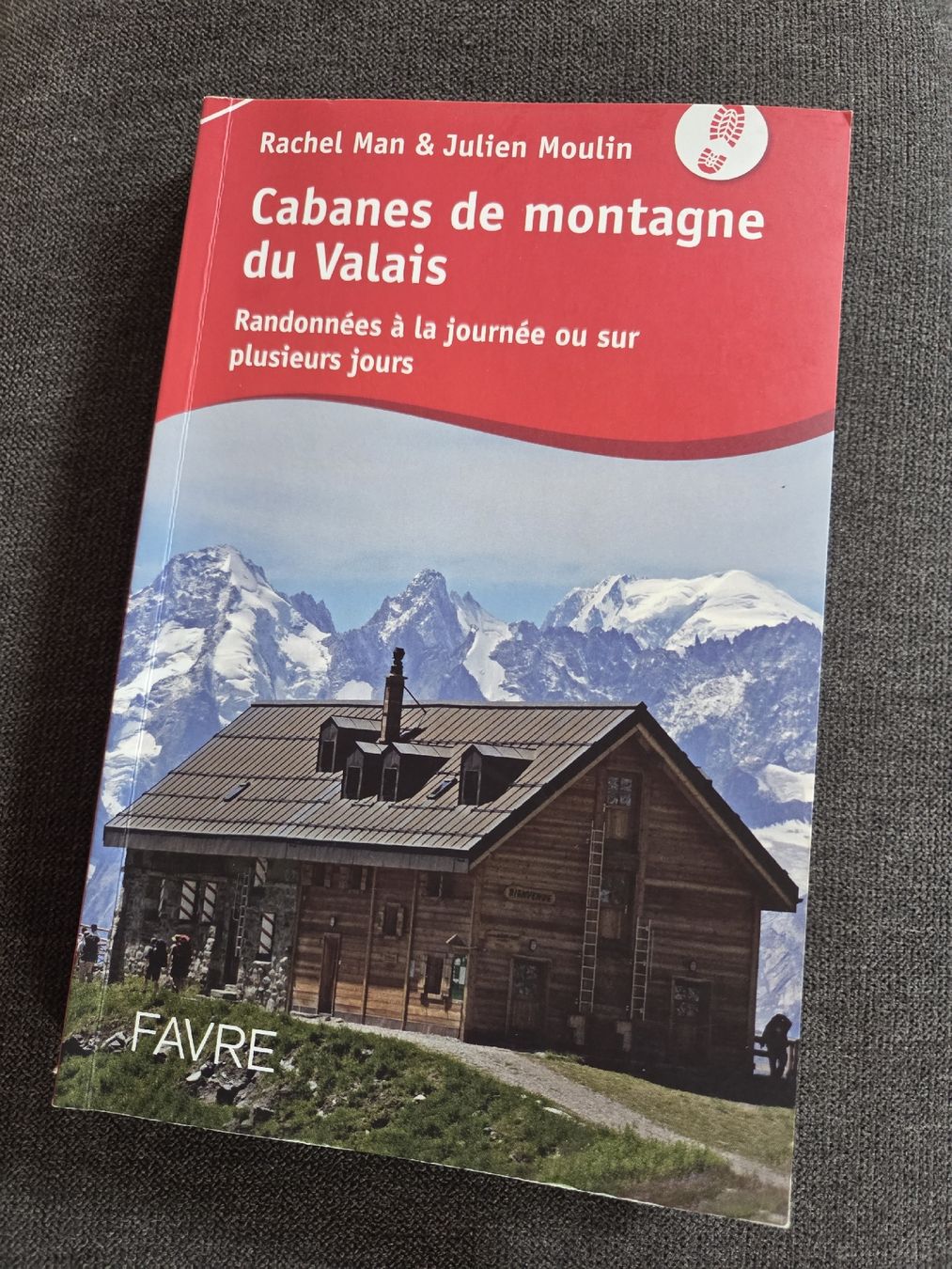 Libri: Guide Cabanes de montagne du Valais  – Usato da Praz-de-Fort venduto da val_j9xs