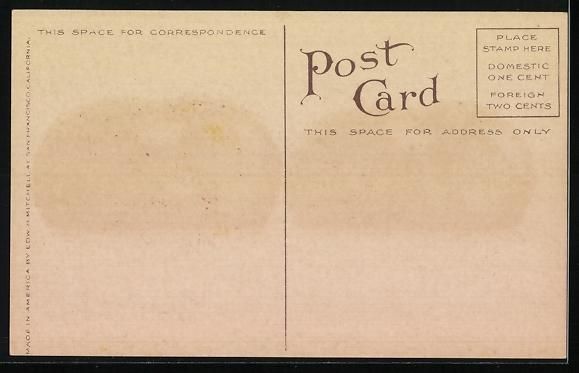 Cartoline postali: Optische Täuschung mit gigantischen Fle – Usato da Berlin venduto da bartko-reher 1