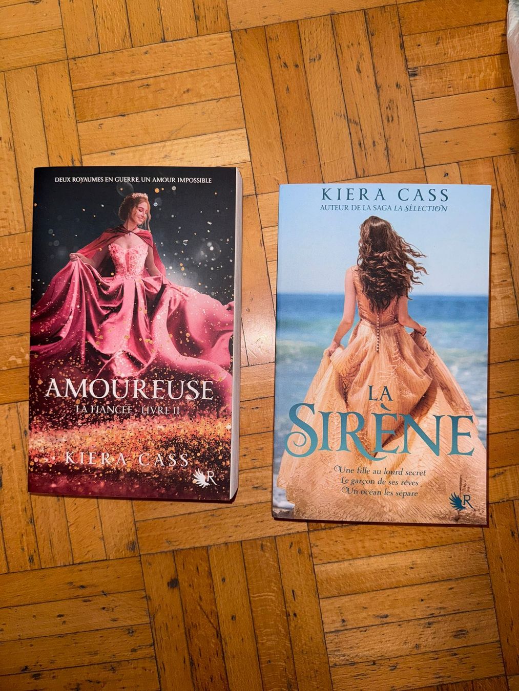 Libri: saga séléction – Usato da Grand-Lancy venduto da Sylvia123 6
