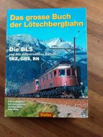 Das grosse Buch der Lötschbergbahn - Viafer