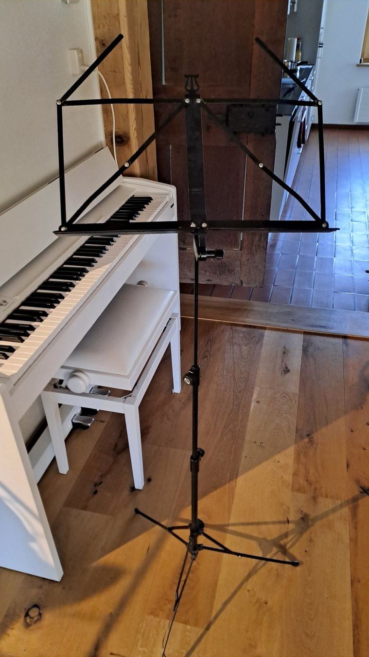 Supporti per strumenti musicali & leggii: Notenständer – Usato da Bertschikon Gossau venduto da Zueues