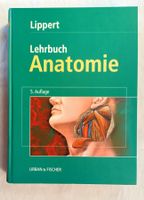 Lippert / Lehrbuch Anatomie / Buch 1996 mit 803 Seiten