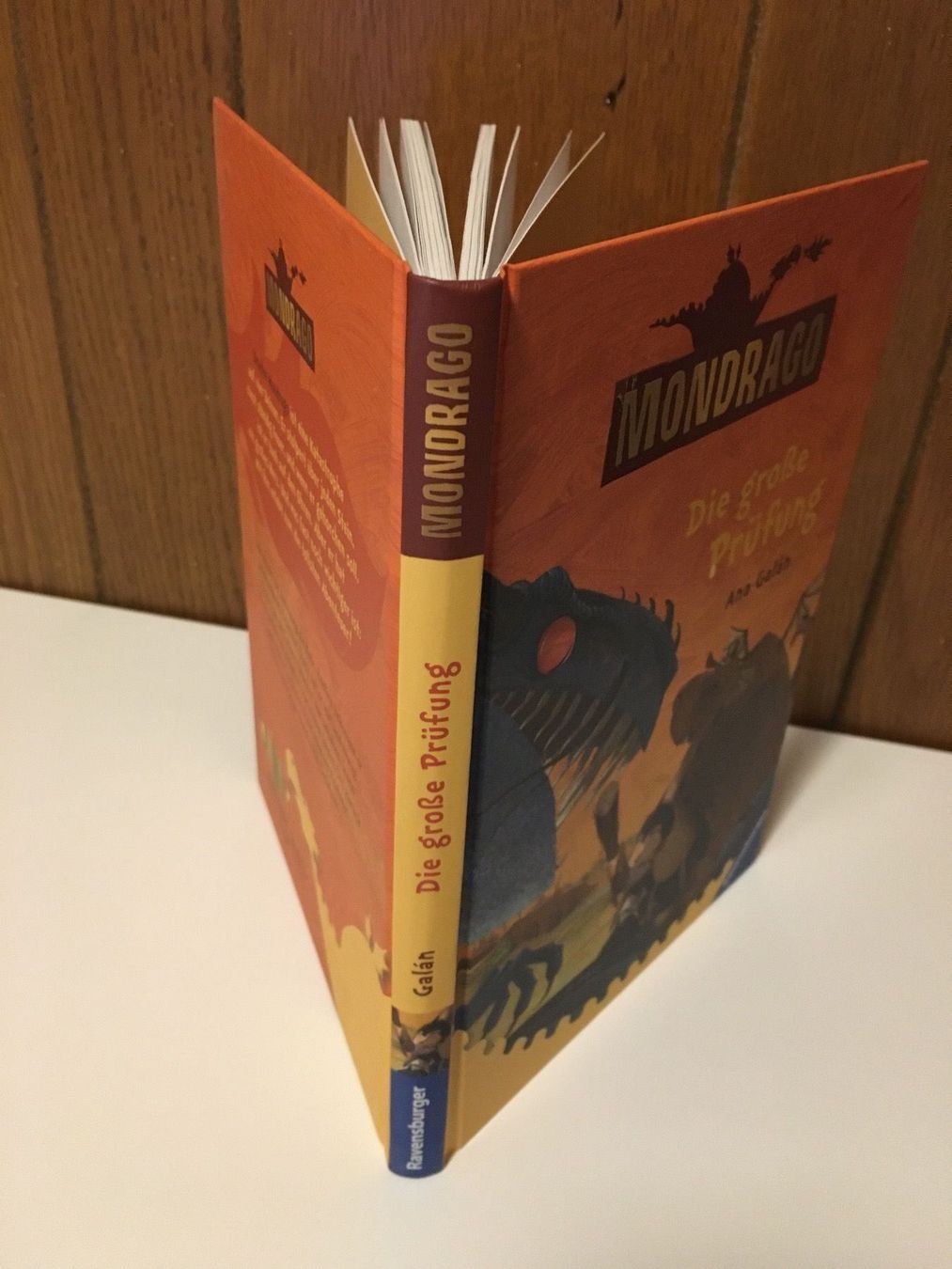 Libri: Lesebuch - Mondrago - Die große Prüfung – Usato da Andwil SG venduto da Rainboli 1