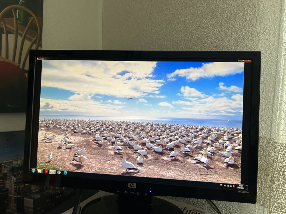 HP S2331a PC"sMonitor / 58.4 cm ( 23 Zoll ). TOP Zustand! Kaufen auf