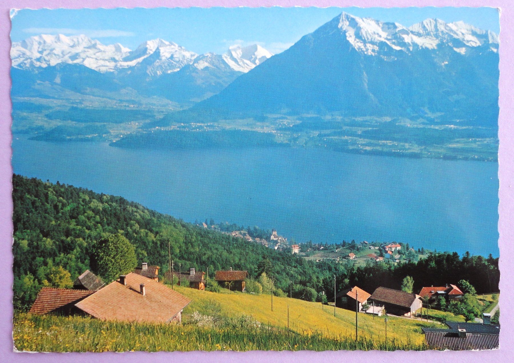 Cartoline postali: Haltenegg ob Thun 1000 m ü.M. – Usato da Fétigny venduto da Billy2miny