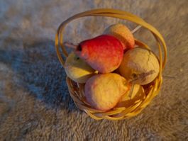 Leckeres älteres Früchtekörbli mit Früchten fürs Puppenhaus