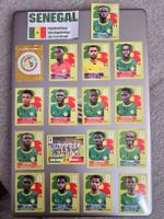 Senegal Panini WM 2026