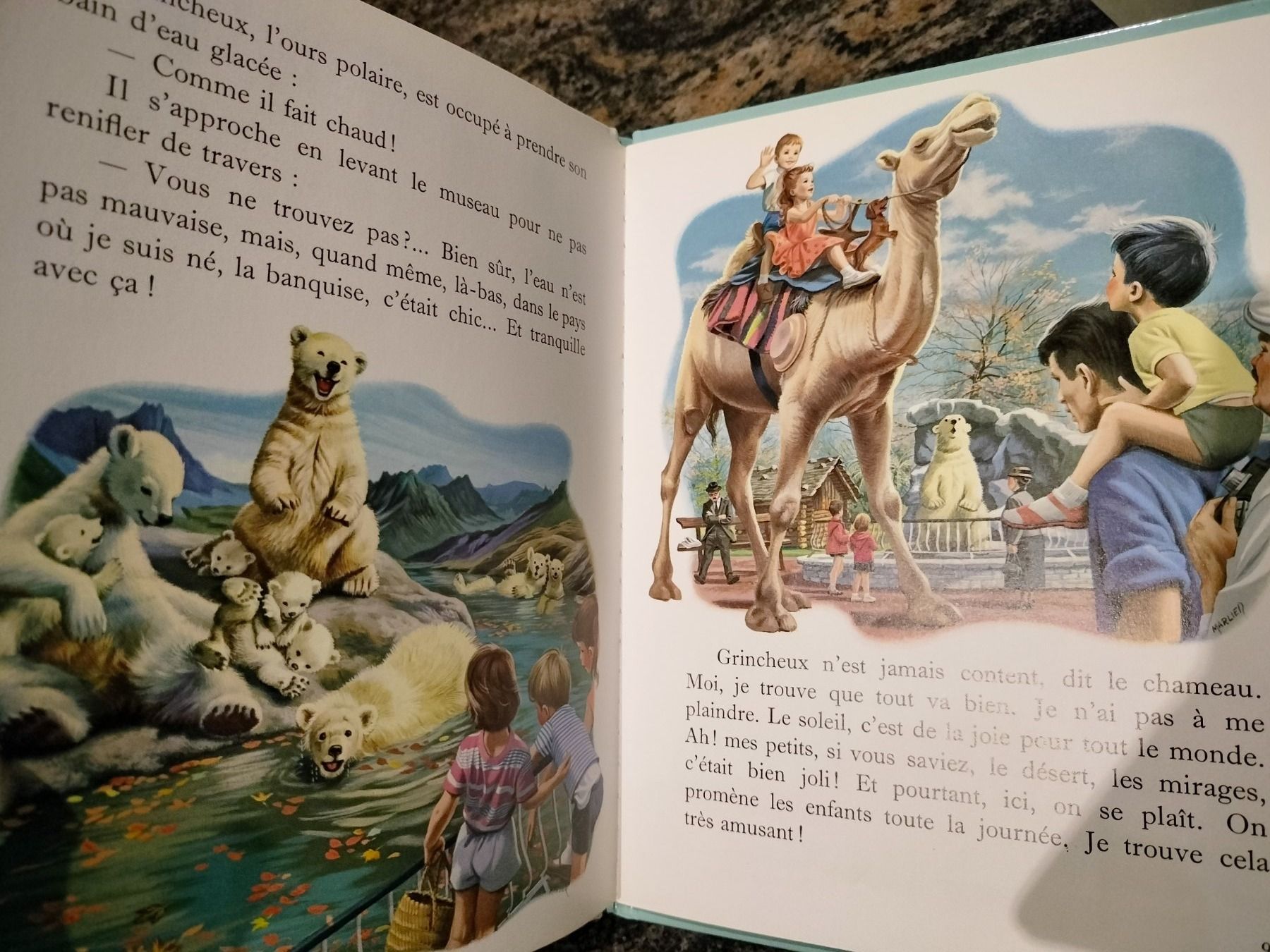 Libri: Martine au zoo dès 3 ans – Usato da Cortaillod venduto da rozinna 3