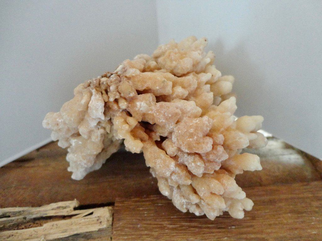 Edelsteine: Calcit- Stufe Korallenform – Neu (gemäss Beschreibung) aus Biberist von Steine 3