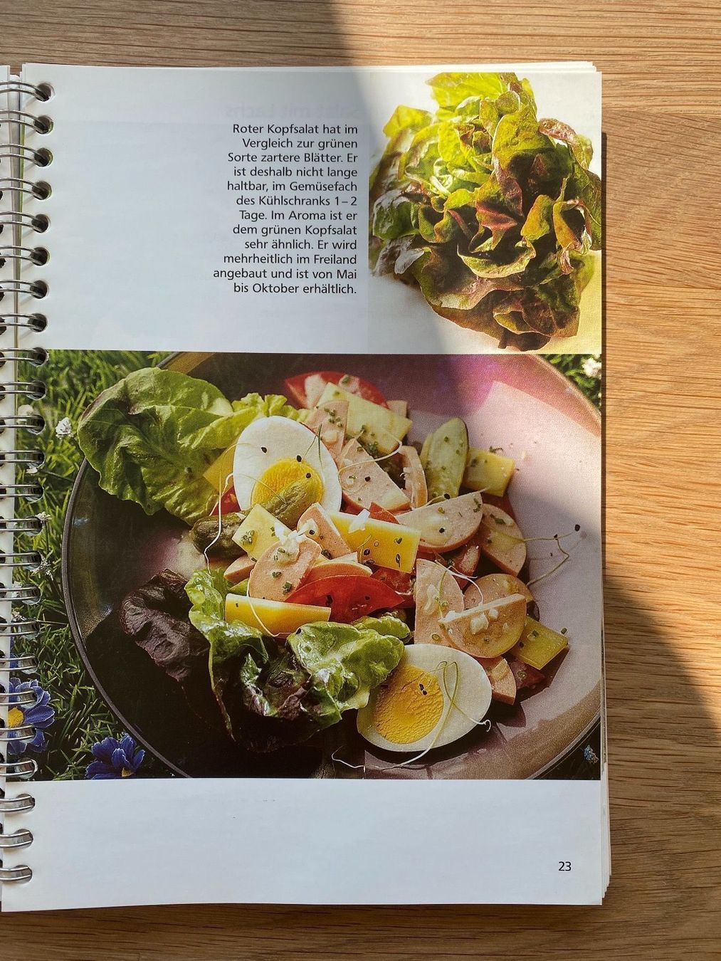 Cucine complete: Salat Küche – Usato da Luzern venduto da nad_nf8f 2