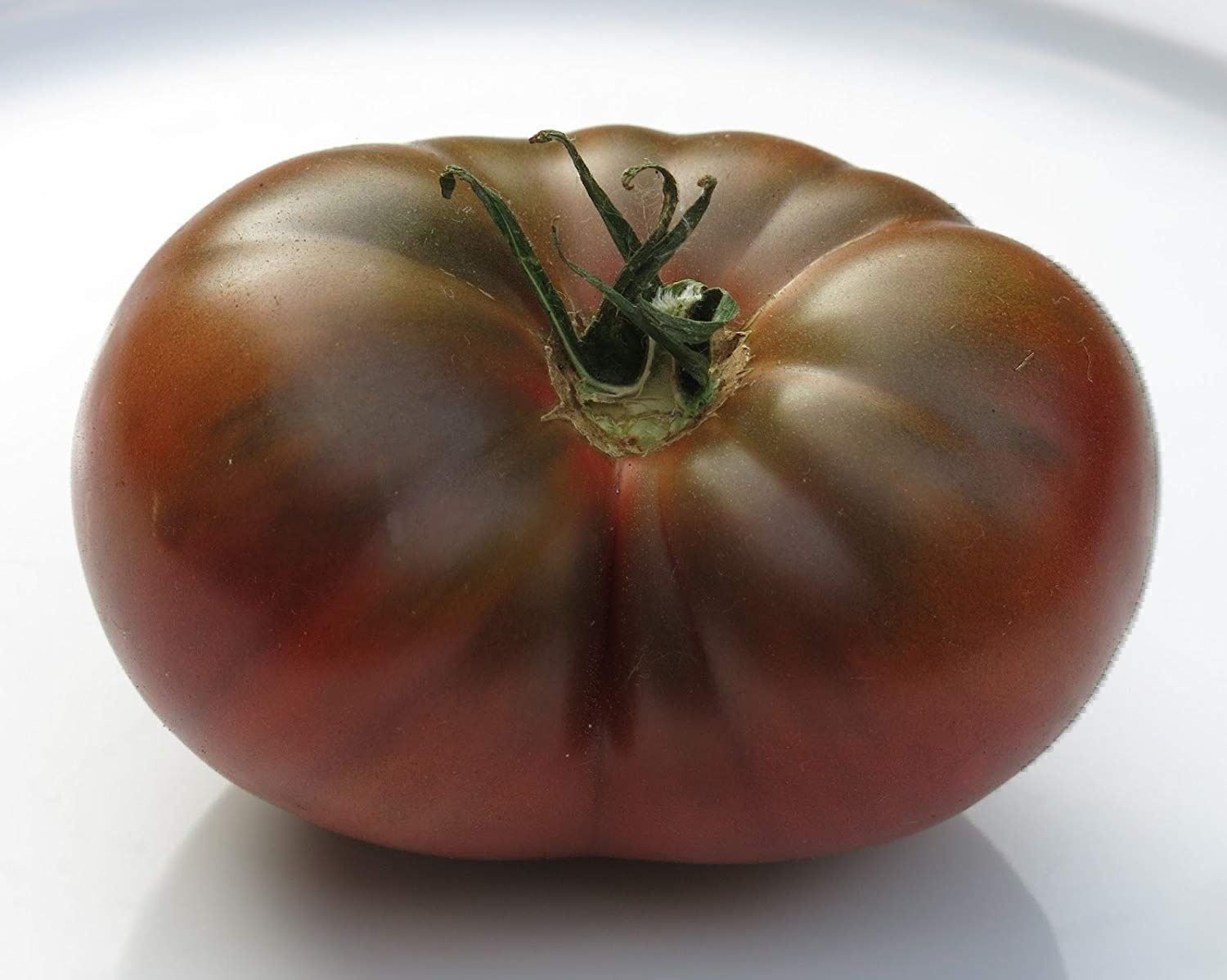 Piante & sementi: 50 Samen TOMATE BLACK RUSSIAN Alte Sorte – Nuovo (secondo la descrizione) da Ehrendingen venduto da VerveinaSamen 6