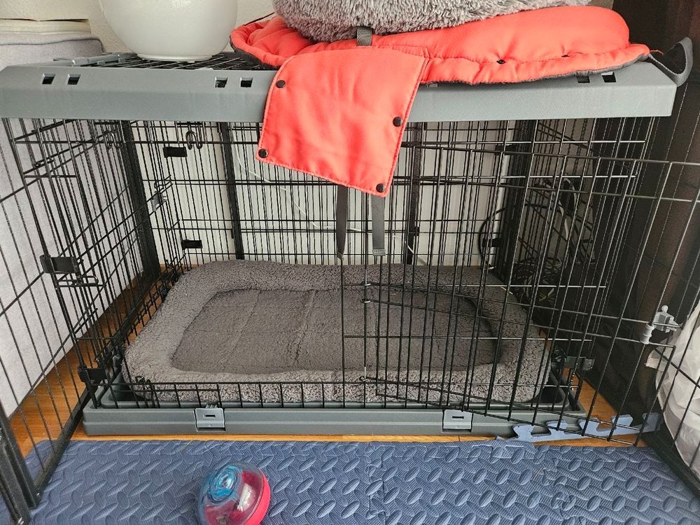 Gabbie, trasporto & Sicurezza: Hunde Box – Usato da Mönchaltorf venduto da Ellaefe