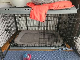 Hunde Box