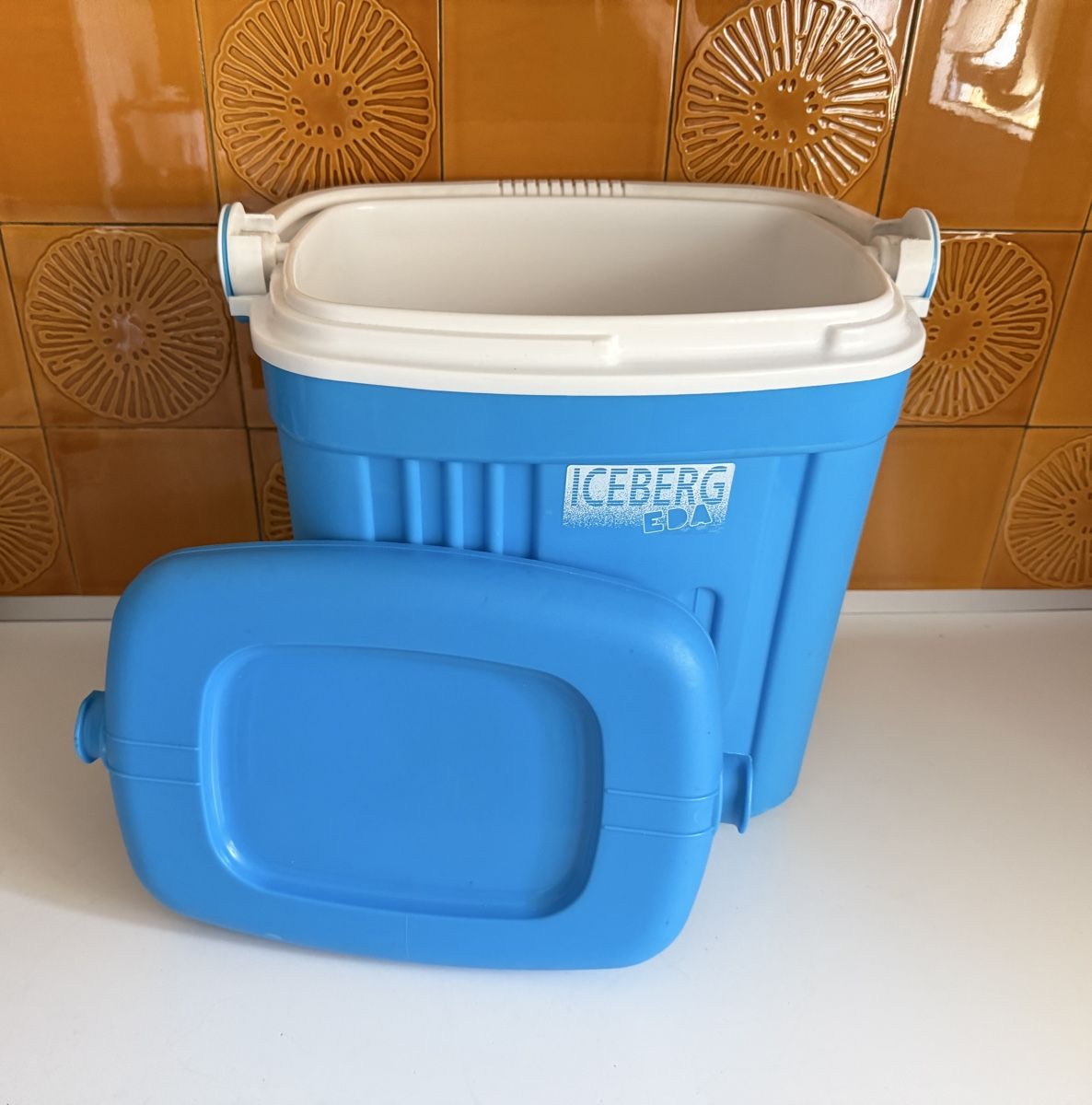 Frigoriferi & Refrigeratori: Kühlbox Iceberg Eda – Usato da Gerlafingen venduto da sternrose 1