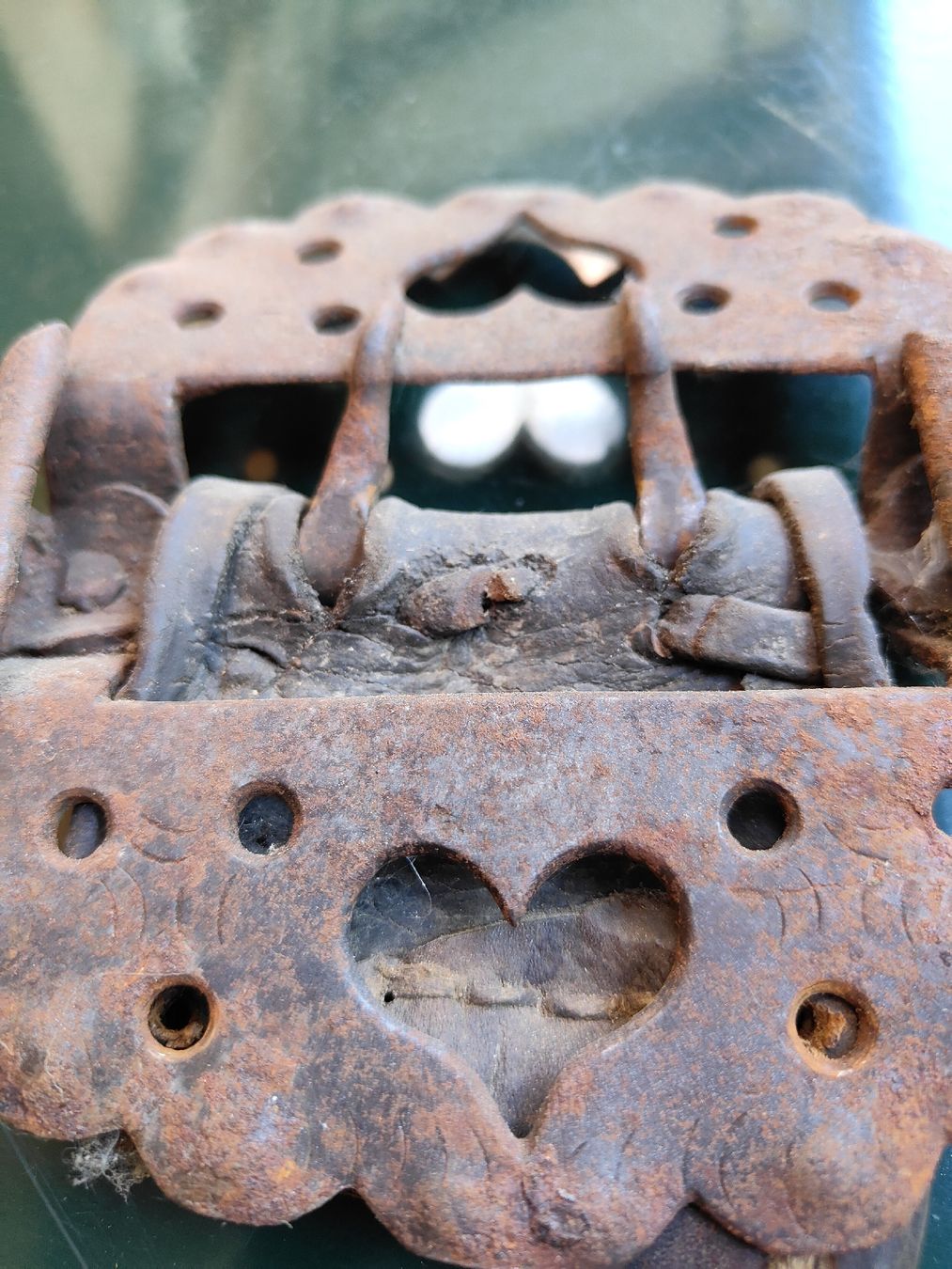 Campanacci mucche: Antike Trychle/Glocke Schnalle – Usato da Bertschikon venduto da carlahuebscher