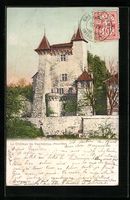 AK Vaumarcus /Neuchâtel, Le Château