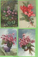 4 Antike Postkarten Alpenveilchen Blumen Nostalgie Raritä...