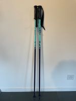 Skistöcke (Jugendliche 105 cm)